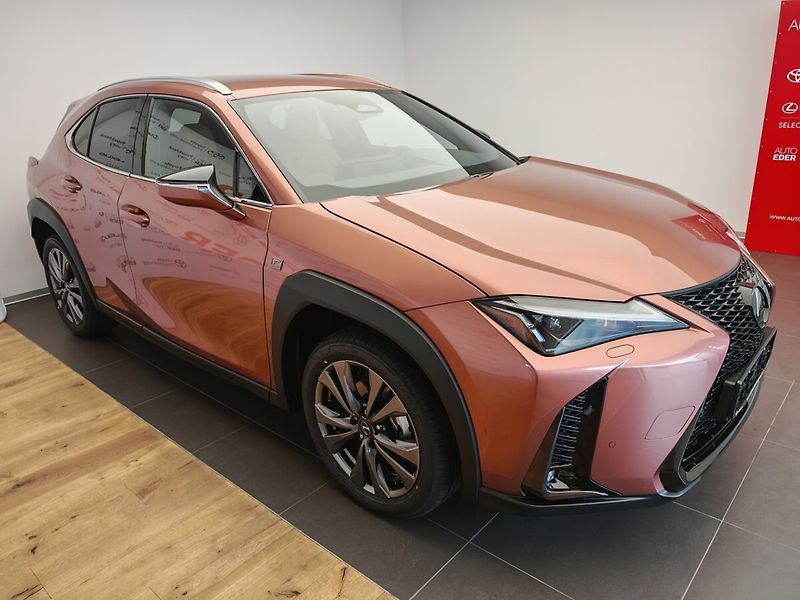 Lexus UX 300h F Sport Design 300H - fotka 3 z 44