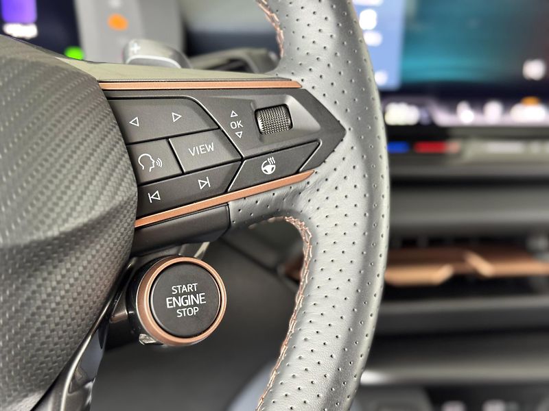 Cupra Terramar 2,0TSI VZ 265*4x4*DPH*Tažné - fotka 24 z 35