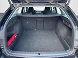Škoda Octavia (2020) 2.0 TDI 110kW DSG Style Plus c - náhled 33