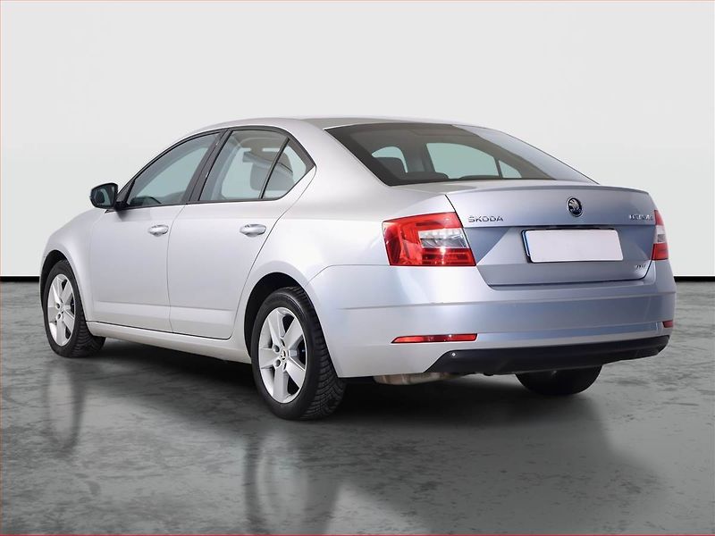 Škoda Octavia (2018) 2.0 TDI, 4X4, Automat - fotka 4 z 19
