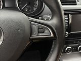 Škoda Octavia 1,6 TDi 6ST. MAN. NAVI SENZORY - náhled 12