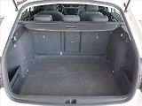 Škoda Octavia (2017) 1.6 TDI, Xenony, Tempomat - náhled 13
