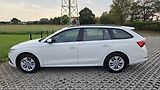 Škoda Octavia  2.0TDI 110kW Ambit DSG CZ DPH - náhled 3
