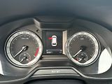 Škoda Octavia (2017) 2.0Tdi 110kw DSG Drive - náhled 17