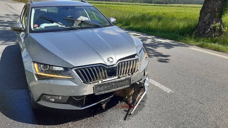 Škoda Superb (2017) L&K 2,0 TDI 140 kW - fotka 62 z 62