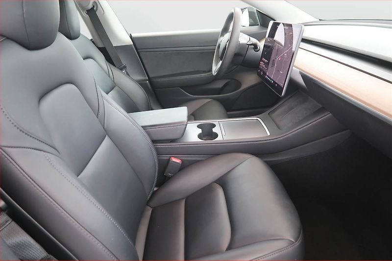 Tesla Model 3 (2021) Std Range Plus 55kWh, SoH 81% - fotka 9 z 22