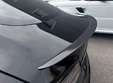 Tesla Model S Plaid AWD FSD Tažné Bílý in.  - náhled 10