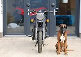 Royal Enfield Classic 350 (2026) BLACK - náhled 7