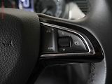 Škoda Rapid (2019) 1.0 TSi, 2.maj,ČR, Navi - náhled 13