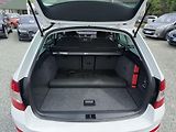 Škoda Octavia 2.0 TDI 4x4 - náhled 12