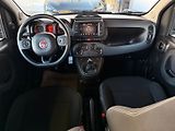 Fiat Panda 1.0 CROSS 1.0 HYBRID 70CV MAN - náhled 8