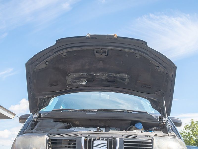 Seat Alhambra (2003) 1.9TDI 96KW – 7 SEDADEL - fotka 37 z 39