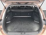 Kia Ceed (2023) 1.5 T-GDI - náhled 14