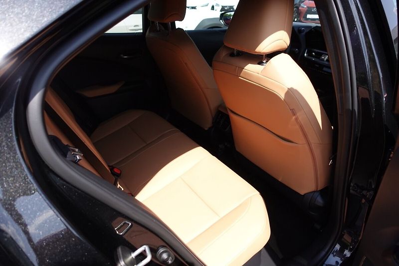 Lexus UX 300h UX300h F SPORT Design - fotka 14 z 36