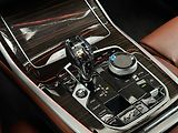 BMW X7 50i xDrive Individual B&W - náhled 10