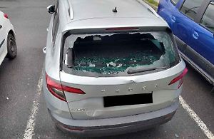 Kráva poničila několik aut zaparkovaných na ulici u mlékomatu v Hlučíně.