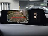 Mazda 3 2.5l e-SKYACTIV G, 1.majitel - náhled 23