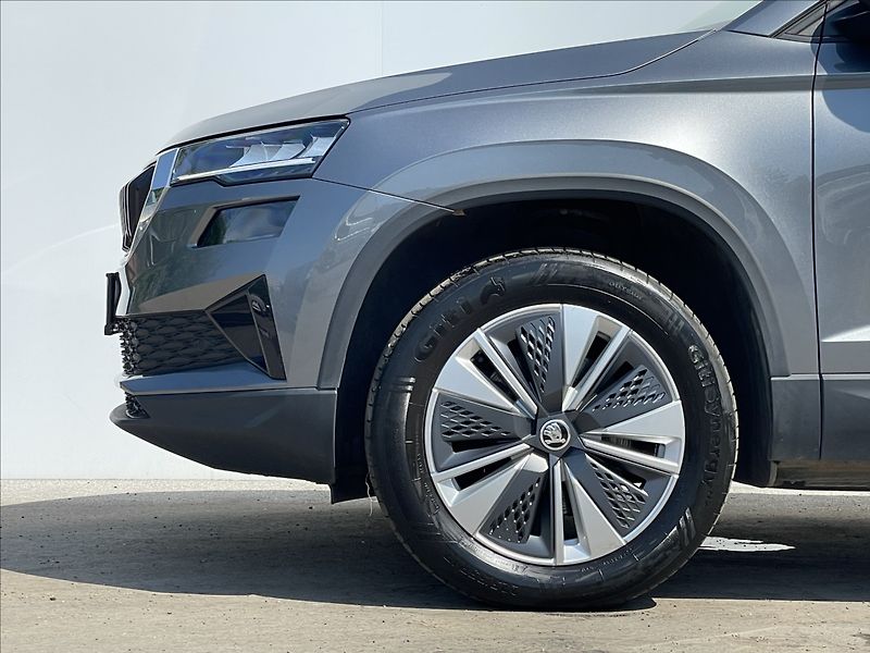 Škoda Karoq 2,0 TDI DSG 4x4 Style Plus - fotka 20 z 24