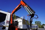 Renault (2020) C280 DTI 8 / FASSI crane - náhled 12