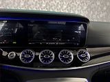 Mercedes-Benz AMG GT (2020) 53 4MATIC+ - náhled 18