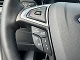 Ford S-MAX (2021) 2.0 Ecoblue 110kW, ČR, 1.maj, - náhled 19