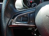 Škoda Octavia (2017) 2.0 TDi, 2.maj,ČR, RS - náhled 14