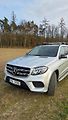 Mercedes-Benz GLS (2019) 4.7 /335kW - náhled 36