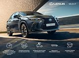 Lexus RX RX500h F Sport Plus Panoramic - náhled 8