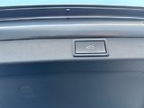 Škoda Octavia Style Plus 2.0 TDI 85kw Combi - náhled 14