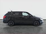 Škoda Fabia (2010) RS 1.4 TSI, Automat, Navi - náhled 6