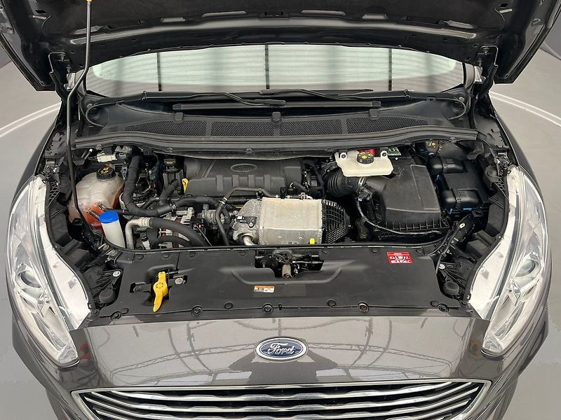 Ford Galaxy 2.0 EcoBlue, 140 kW, Cebia - fotka 34 z 45
