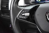 Škoda Kodiaq 2.0 TDI 110 DSG*TAŽNÉ*WEBASTO* - náhled 18