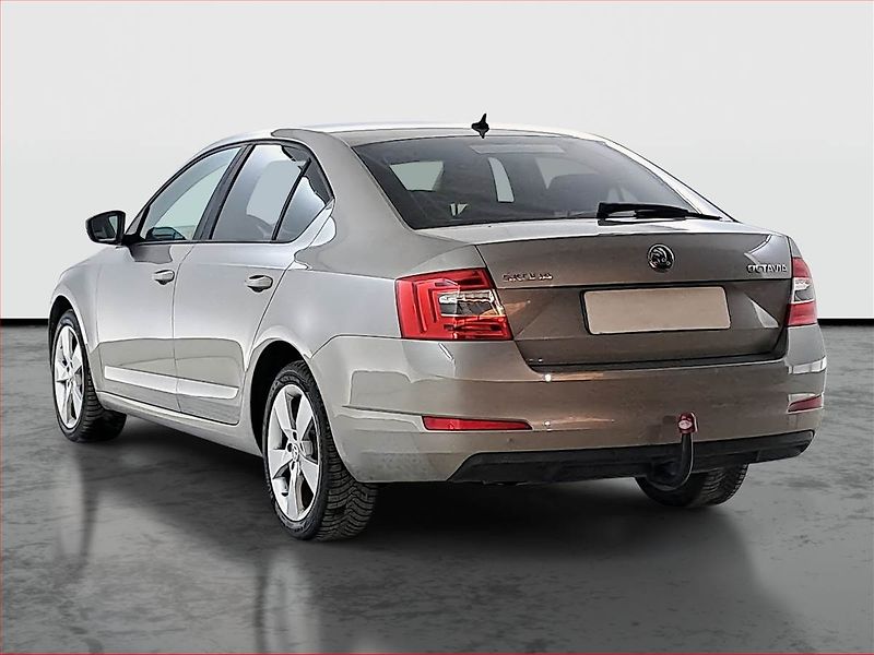 Škoda Octavia (2014) 1.6 TDI, Tempomat - fotka 4 z 19