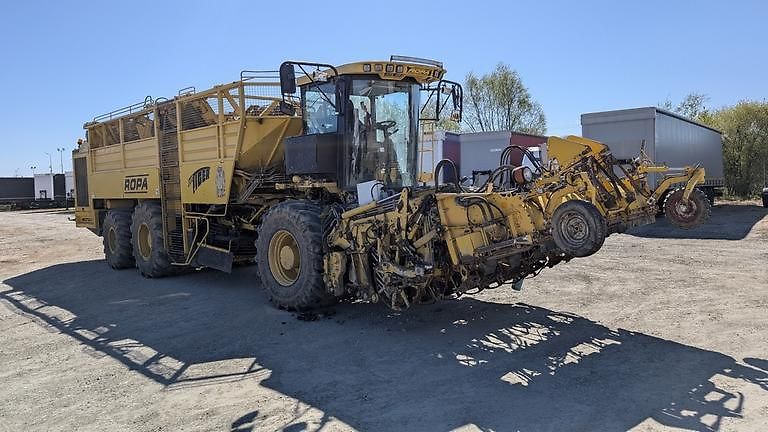 Ostatní (2012) ROPA TIGER V8-3 beet harvester - fotka 7 z 22