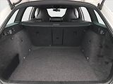 Škoda Octavia (2014) RS 2.0 TDI, Kůže, Bi-Xenony - náhled 13