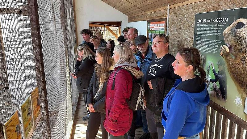 Malá auta, velká srdce. Smarťáci navštívili jarní Vlašim a adoptovali mývala
