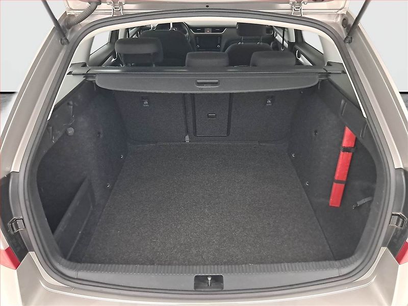 Škoda Octavia (2018) Ambition 1.4 TSI, Tempomat - fotka 13 z 23