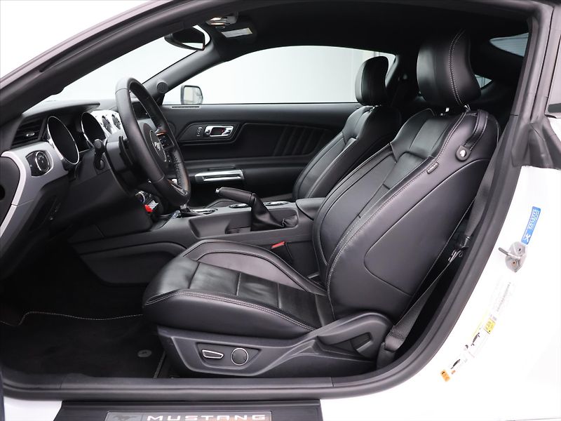 Ford Mustang 5,0 5.0 TI-VCT 324kW V8 GT CZ - fotka 10 z 36