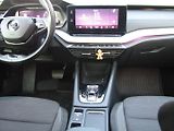 Škoda Octavia (2020) 2.0 TDI 110kW DSG ACC MATRIX - náhled 17