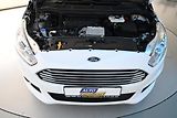 Ford S-MAX (2020) 2.0 BUSINESS Edition Tažné ECO - náhled 25