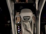 Škoda Karoq (2025) 2.0 TDI 110 kW DSG 4x4 Top Sel - náhled 16