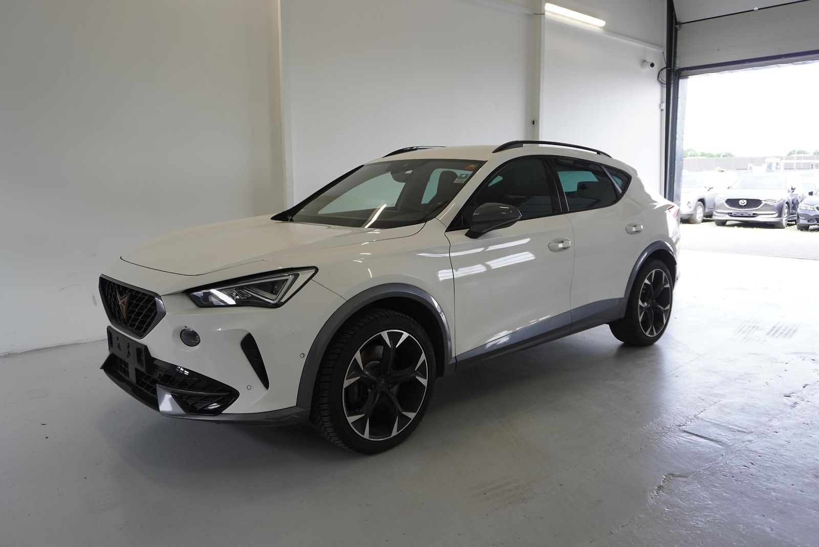 Cupra Formentor VZ 2.0 TSI 228kW 4x4 DSG