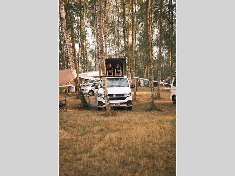 Odhalení proběhne v polovině září