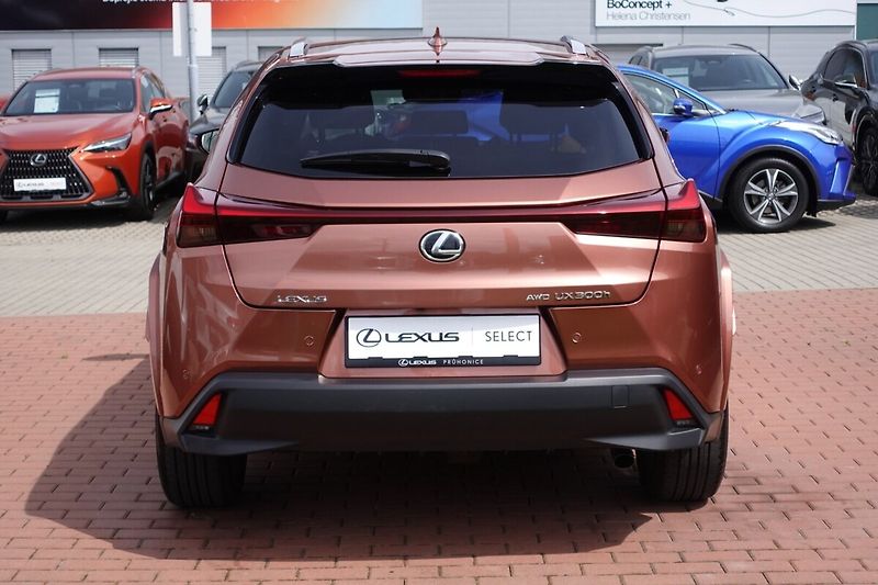 Lexus UX 300h UX300h Luxury 4x4 - fotka 6 z 38