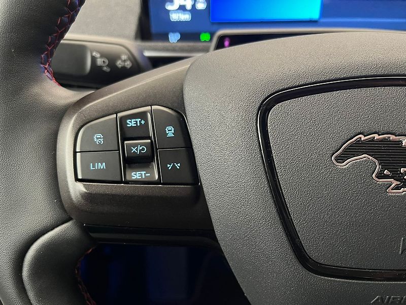 Ford Mustang Mach-E Standard Range AWD, SoH 93,1 % - fotka 27 z 53