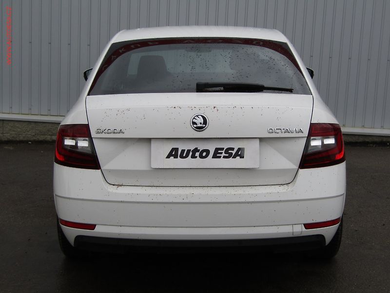 Škoda Octavia (2020) 2.0TDI, ČR, Style - fotka 5 z 19
