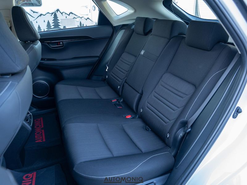 Lexus NX 300h (2020) 2.5 Hybrid AWD adaptív, Navi - fotka 10 z 19