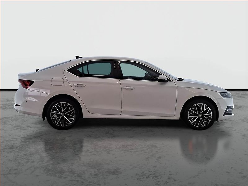 Škoda Octavia (2020) 2.0 TDI, Automat, Serv.kniha - fotka 6 z 19