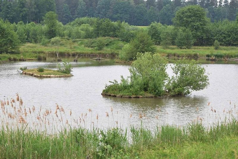 Pro ornitologa ráj, pro běžného turistu zážitek. To je Dračí jezero.