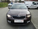 Škoda Octavia (2014) 1.6 TDI 77kW  ZIMNÍ KOLA - náhled 6